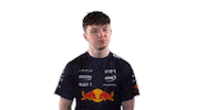 Red Bull Sr Sticker by Oracle Red Bull Racing