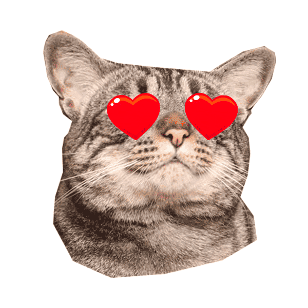 Cat Love Sticker