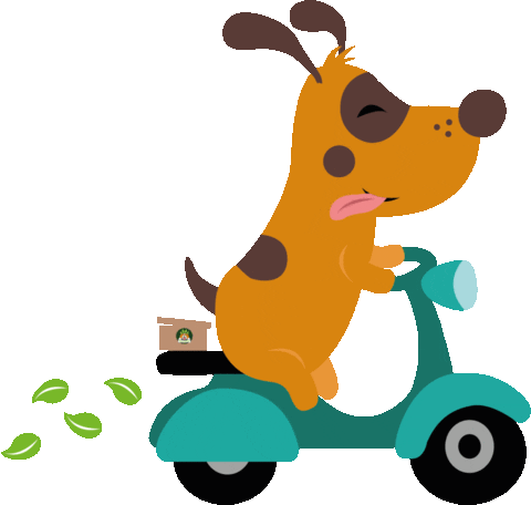 Cat Dog Sticker by Dogs N Roll Latam