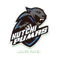 Cricket Acc Sticker by Sportobuddy