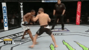 ufc 205 GIF