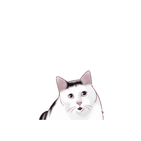 Confused Cat Sticker