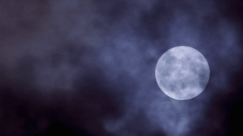 Full Moon Horror GIF by Moments of Colour
