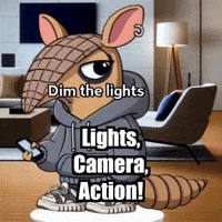 Camera Lights GIF by Chillo Dillo