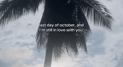 I Love You Relationship GIF