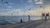 Riviera Maya Garza GIF by CGTraveler - Carlos Garrido - Adventrgram