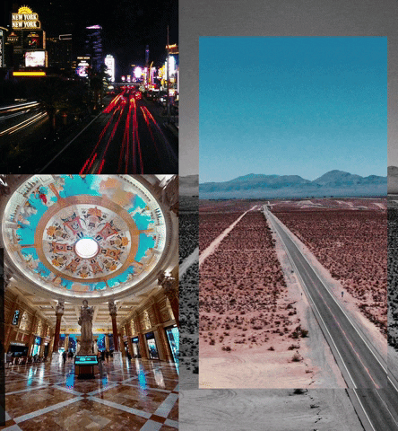 GIF by Blake Harrison