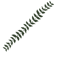 Plant Leaf Sticker