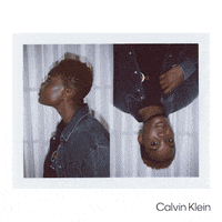 Arlo Parks GIF by Calvin Klein