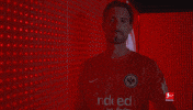 Eintracht Frankfurt Football GIF by Bundesliga