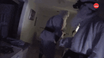 Santa Claus Christmas GIF by BuzzFeed