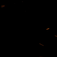 Contest Win GIF by THE BEARD STRUGGLE