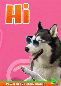 PetJuvenate  GIF
