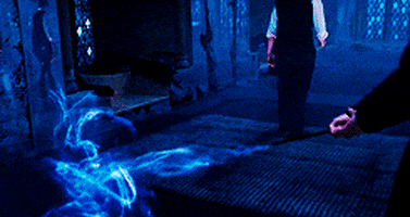 KaitlynAnne13 giphyupload GIF