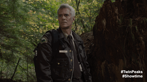 Confused Twin Peaks GIF by Twin Peaks on Showtime