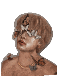 Butterfly Stray Kids Sticker