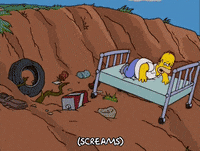 homer simpson wtf GIF