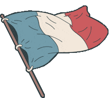 France Football Sticker by Homme Jaune