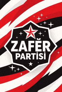 Politics Turkey GIF