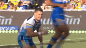 Gold Coast Titans GIF