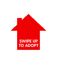 swipe up project home Sticker by The Dodo