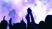 Grammy Awards Witness Greatness GIF by Recording Academy / GRAMMYs