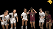 D3Soc Cuc19 GIF by CUCougars