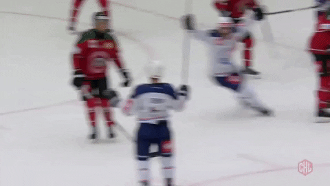 Zurich Zsc GIF by Champions Hockey League