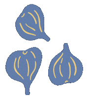 Spices Fig Sticker
