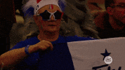 france fan GIF by EHF