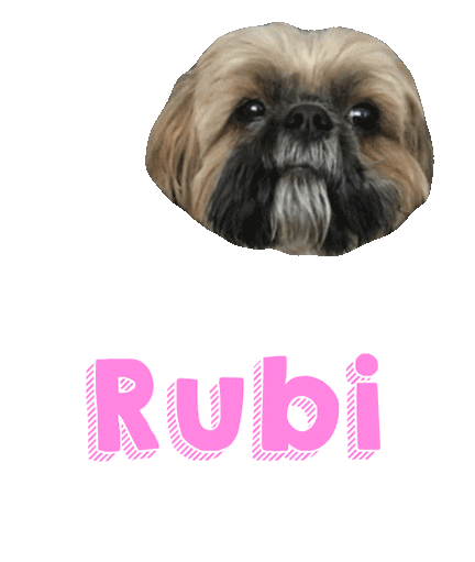 Dog Sticker