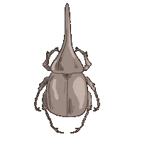 Art Illustration Sticker