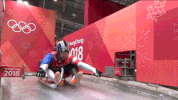 luging winter olympics GIF by Hornet