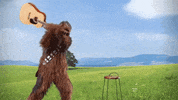 chewie GIF