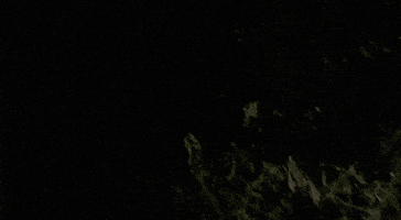 Blair Witch Pizza GIF by Speedy Ortiz