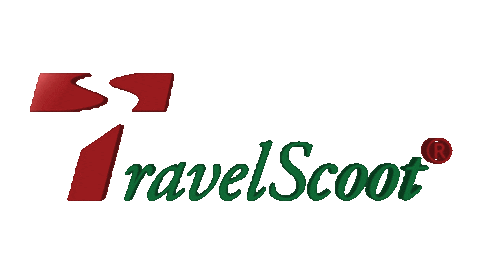 People Scooter Sticker by TravelScoot