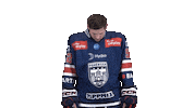 Hockey Sticker by Fehervar AV19