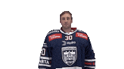 Celebration Goal Sticker by Fehervar AV19