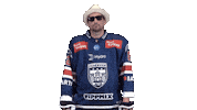 Celebration Goal Sticker by Fehervar AV19