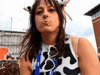 State Fair Cow GIF