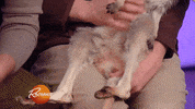 christmas eating GIF by Rachael Ray Show