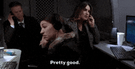 Law And Order Dickwolf GIF by Wolf Entertainment