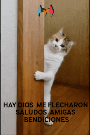 I Love Angel GIF by Murcianys LLC