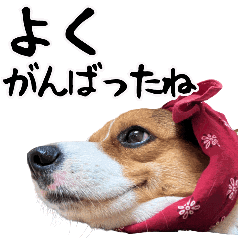 Corgi Milo Sticker