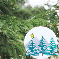 Christmas Tree Winter GIF by TeaCosyFolk