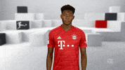 Come On What GIF by Bundesliga