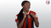 nwsl soccer nwsl crest washington spirit GIF