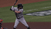 Atlanta Braves Sport GIF by MLB