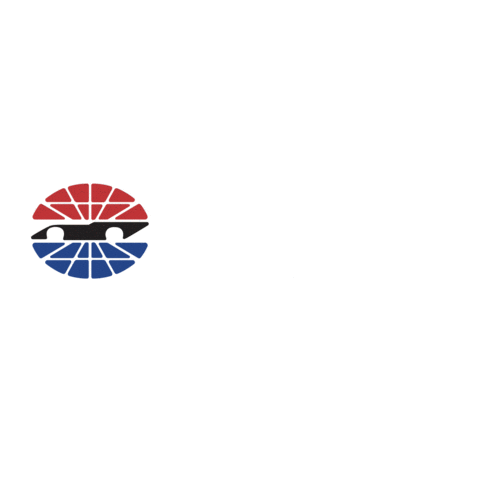 Nascar Racing Sticker by EchoPark Speedway