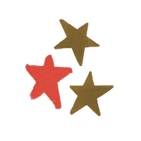 Christmas Star Sticker